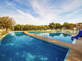 Mobile Home by Novalja Beach with Pools，位于诺瓦利娅的酒店