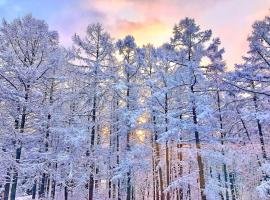 Resort Project Myoko Kogen Hot Spring，位于妙高的酒店