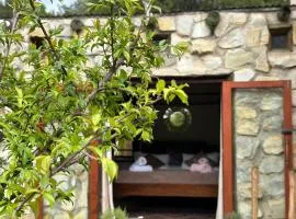 Stormsriver Backpackers Dijembe