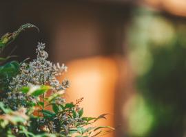 Quinta do Lameiro，位于Tarouca的酒店