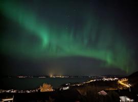 Enebolig med fantastisk utsikt，位于特隆赫姆的酒店
