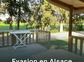 Evasion au cœur de l'Alsace - Bungalow familial pour 5