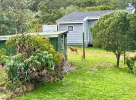 Bushbuck Farm Eco-Retreat，位于Humansdorp的酒店
