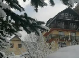 Pensiunea Vladis