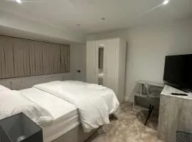 Modern Room in Cheshunt