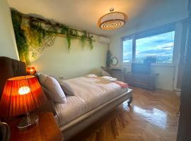 Bamboo tree Apartment，位于维丁的酒店