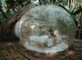 Glamping Amazonas