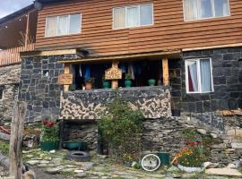 Dadu Guest house，位于Davberi的酒店