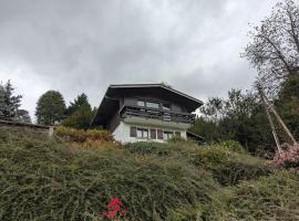 Le Petit Chalet Bellevue - COSY calme parking，位于拉布雷斯的酒店
