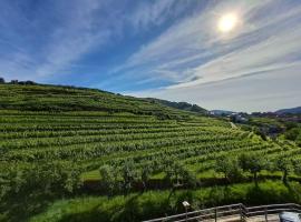 Wohnung in der Wachau，位于瓦豪地区魏森基兴的酒店