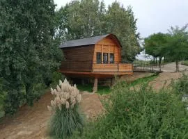 La Barca nel Bosco di Cascina Papa Mora