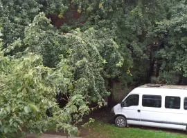 Beograd, Oaza Palilula, 2