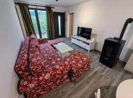 Fuzine Lake Apartments