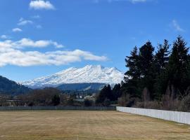 Manuka Views，位于奥阿库尼的酒店