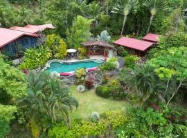 Toucan Villa -riverfront With Pool & Near A Beach