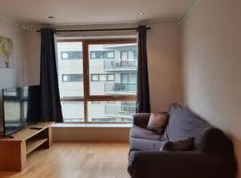Modern apartment by Leeds dock