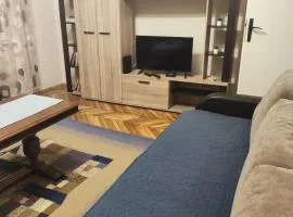 Apartman Nešković