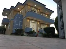 Villa Olive Tree