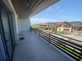 Apartament 2 camere，位于Tăuţii Măgheruş的酒店