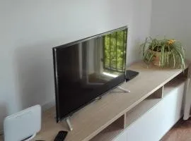 Oaza kraj jezera, app Nika