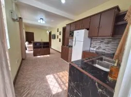 Ackee Green Rental - 3 beds large apartment or 2 beds modern apartment