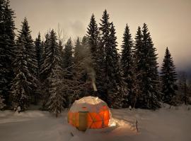 Dome Glamping with shared bathroom，位于利勒哈默尔的豪华帐篷