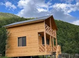 Andrias Wooden Hut