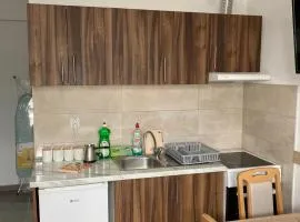 Apartman Veličković Sokobanja