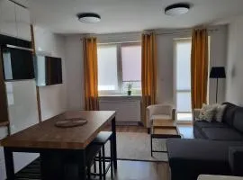 Apartament Boczna