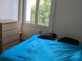 Chambre double confortable, au calme et proche du centre-ville de Lyon