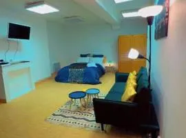 Nid Douillet Chalon Centre Studio Spacieux