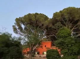 Casa en campo para desconectar en Madrid con Animales