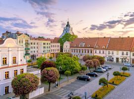 Apartamenty Castello Kamilla，位于克卢奇堡的酒店