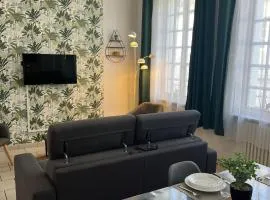 L'Oasis Arrageoise 45m2 4 personnes hyper centre