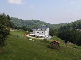 Casa Colet