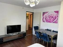 2BDR Apt with See View - Free Parking