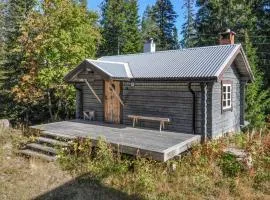 Gorgeous Home In Sälen With Sauna