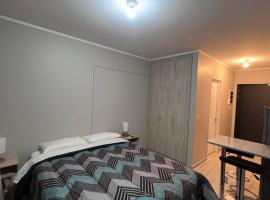 Departamento central, Pitrufquén，位于Pitrufquén的酒店