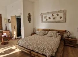 La sérénité Balinaise, chambre et sdb privée, jardin , piscine en saison, près de Chantilly, parc Astérix et CDG et Paris en 20'