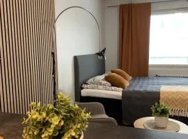 Studio apartment B13 in the city center