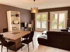 Maison sur les bords de Cere, Laroquebrou, balcon terrasse 3 chambres