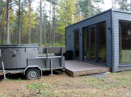 Minimaja saunaga vaatega männimetsale，位于Sõitme的酒店
