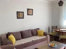 Novi Pazar Center Zone