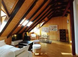 Misalas, Ski y montaña petfriendly - Arafita Apartamentos