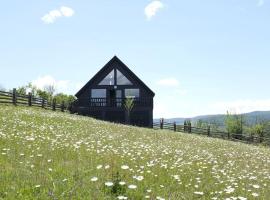 The Black Hills - Cottage in Dusheti，位于Dushetʼi的酒店