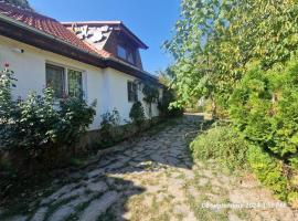 Pensiunea CASA MAXIMUS，位于莫内亚萨的酒店