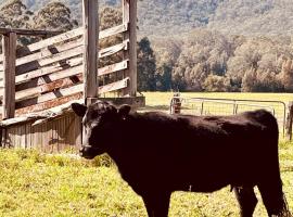 Peppercorns Riverside Farm Stay，位于Clarence Town的酒店