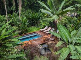 Luxury Villa plus 2 Cabins Rainforest Estate Natural Swim Pond，位于博卡斯德尔托罗的豪华酒店