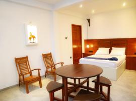 COCO VIEW Guest House，位于韦利格默的酒店