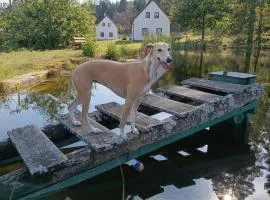 Klidná lokalita Na kraji lesa, celý dům s úschovnu kol